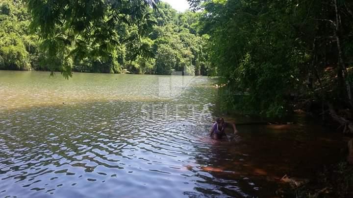 Chácara em Boa Vista no pinheirinho  A 2.400 metros da br Estr...