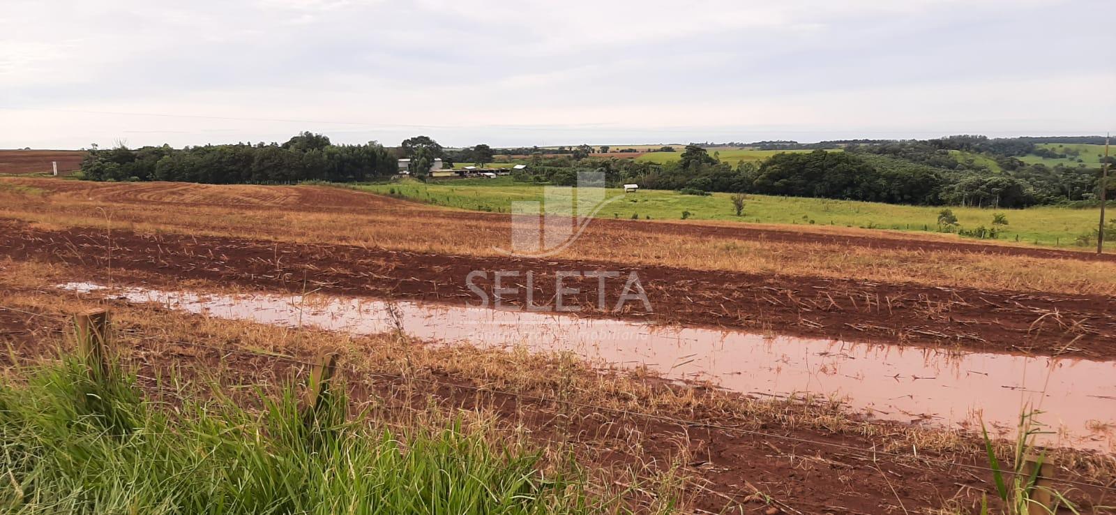 Sítio em Santa Tereza do Oestes 15 alq     Plantio de Soja   P...