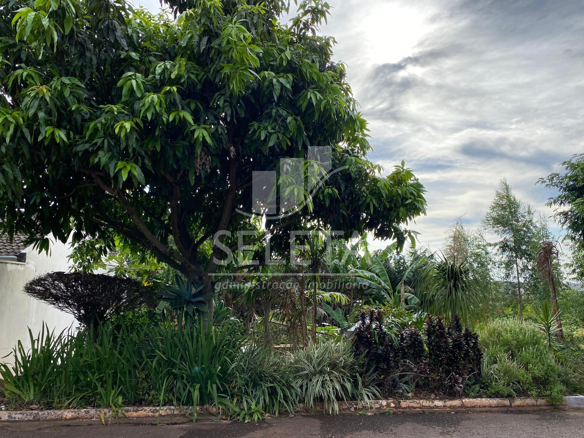 TERRENO Á VENDA NO BAIRRO NOVO MILÊNIO, AO LADO DO BAIRRO CANA...