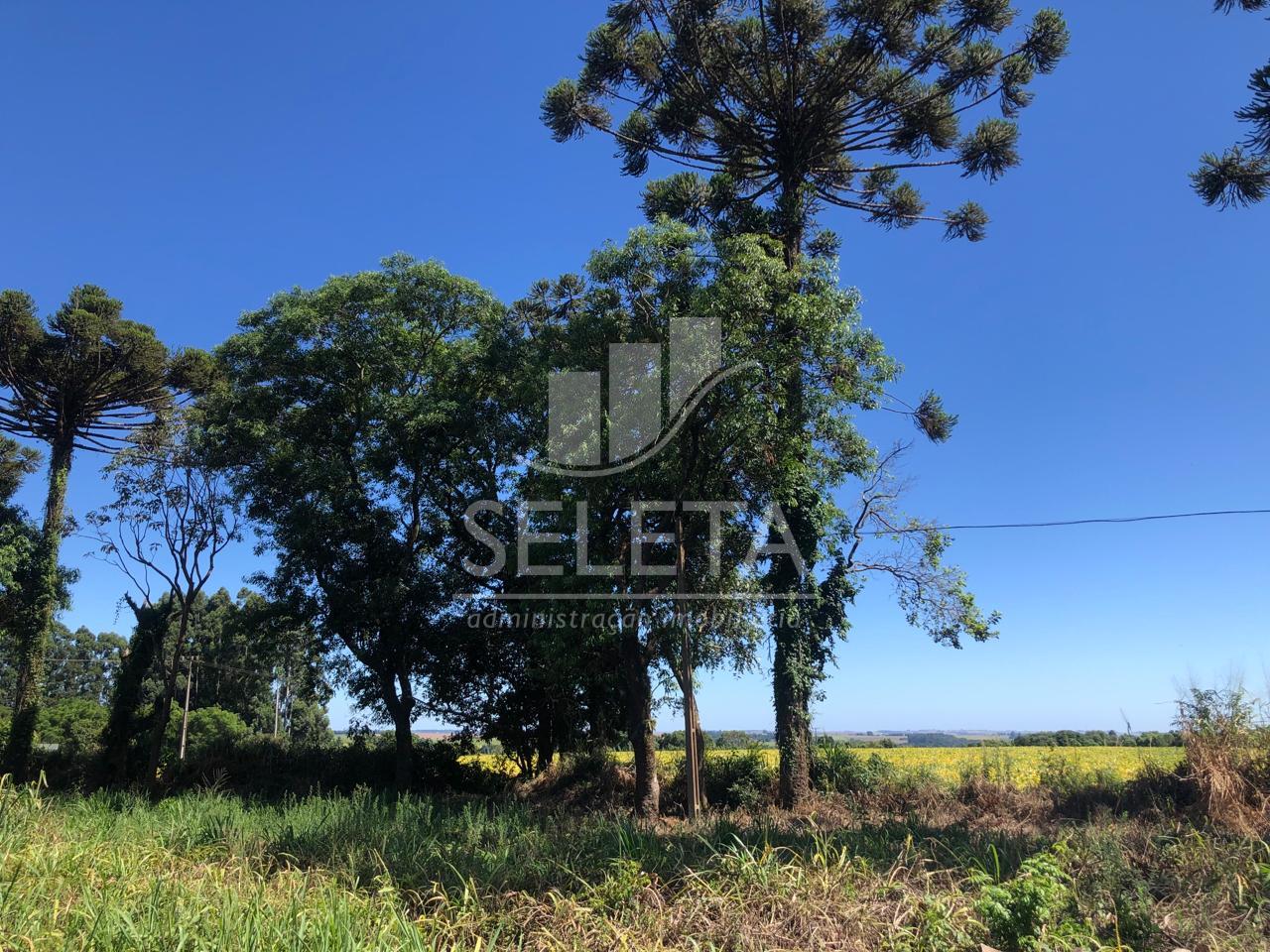 Área Industrial à venda, com 230m de frente BR 277 e 26.744. C...