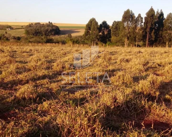 Chácara à venda, Comunidade São Martins, SANTA TEREZA DO OESTE...