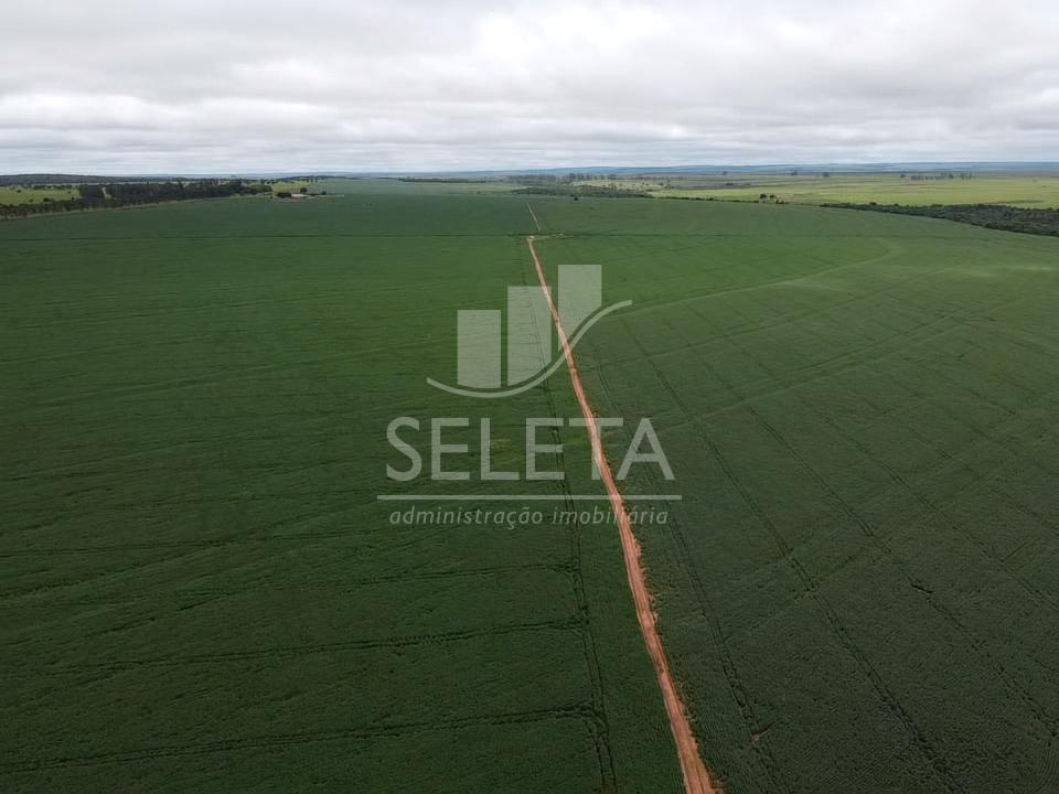 FAZENDA CASCAVEL 1 - São 1.153 hectares ou 238 alqueirão ou se...