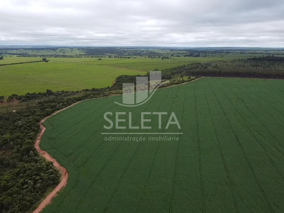 FAZENDA CASCAVEL 1 - São 1.153 hectares ou 238 alqueirão ou se...