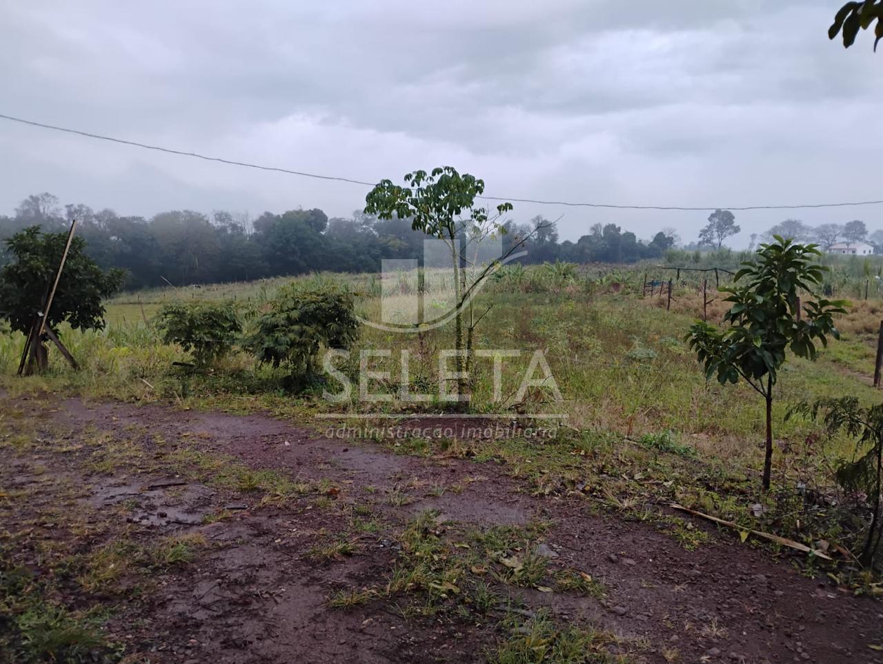 Oportunidade de Chácara à venda, Zona Rural, LINDOESTE - PR