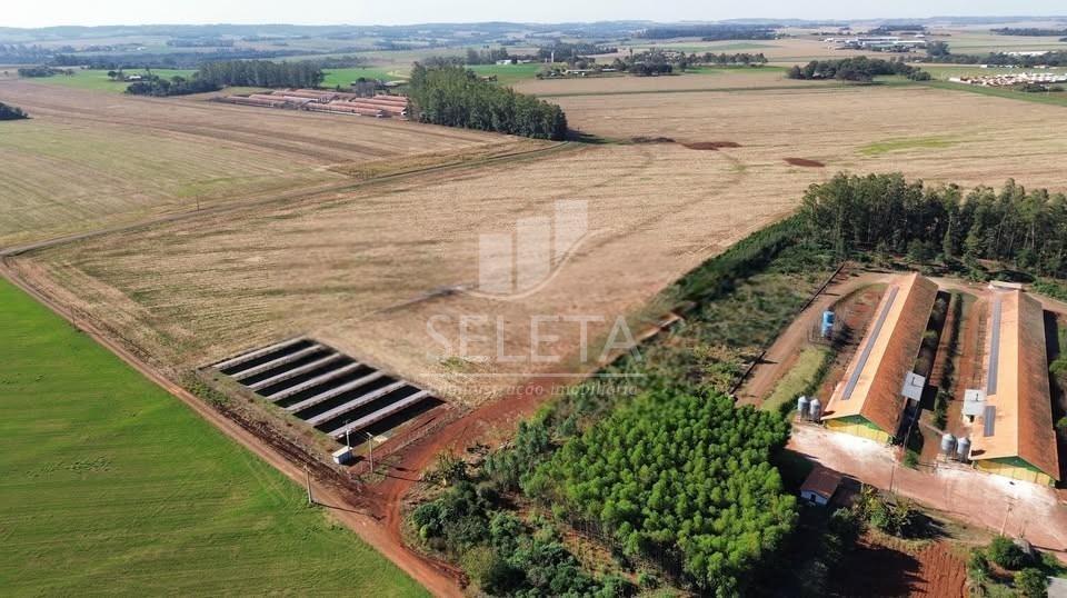 Rural, Estrada Rural, PATO BRAGADO - PR