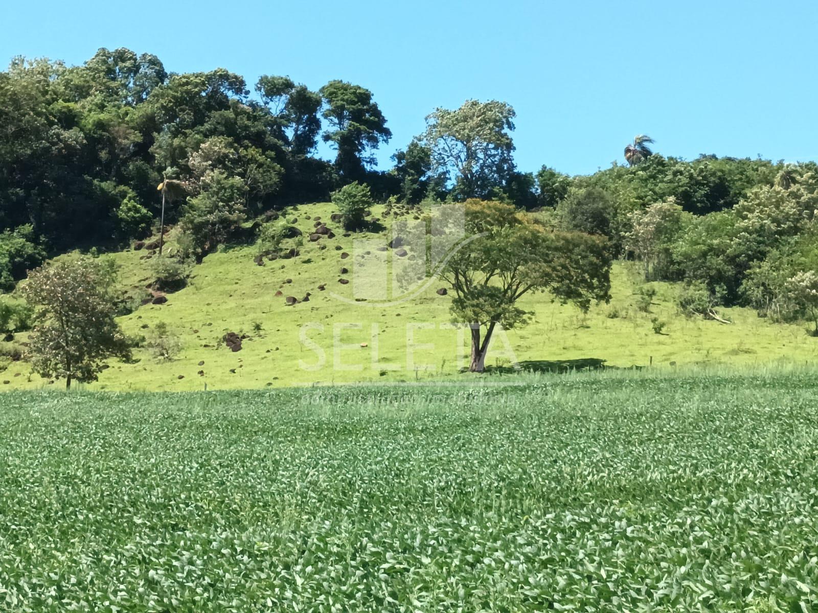 Chácara à venda, LINHA ZANELLA, CASCAVEL - PR