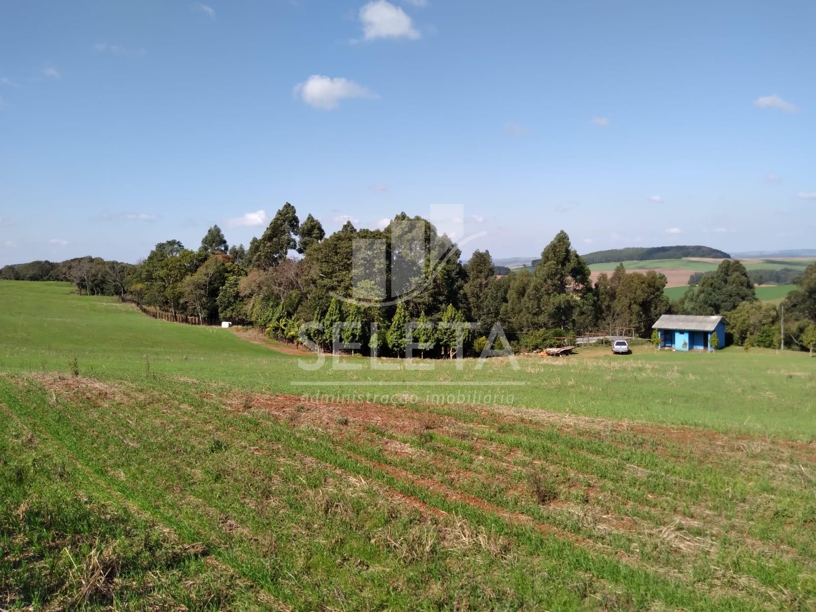 Chácara à venda, Linha Pouso Alegre c  36.00m2 a 300 mts do Pe...
