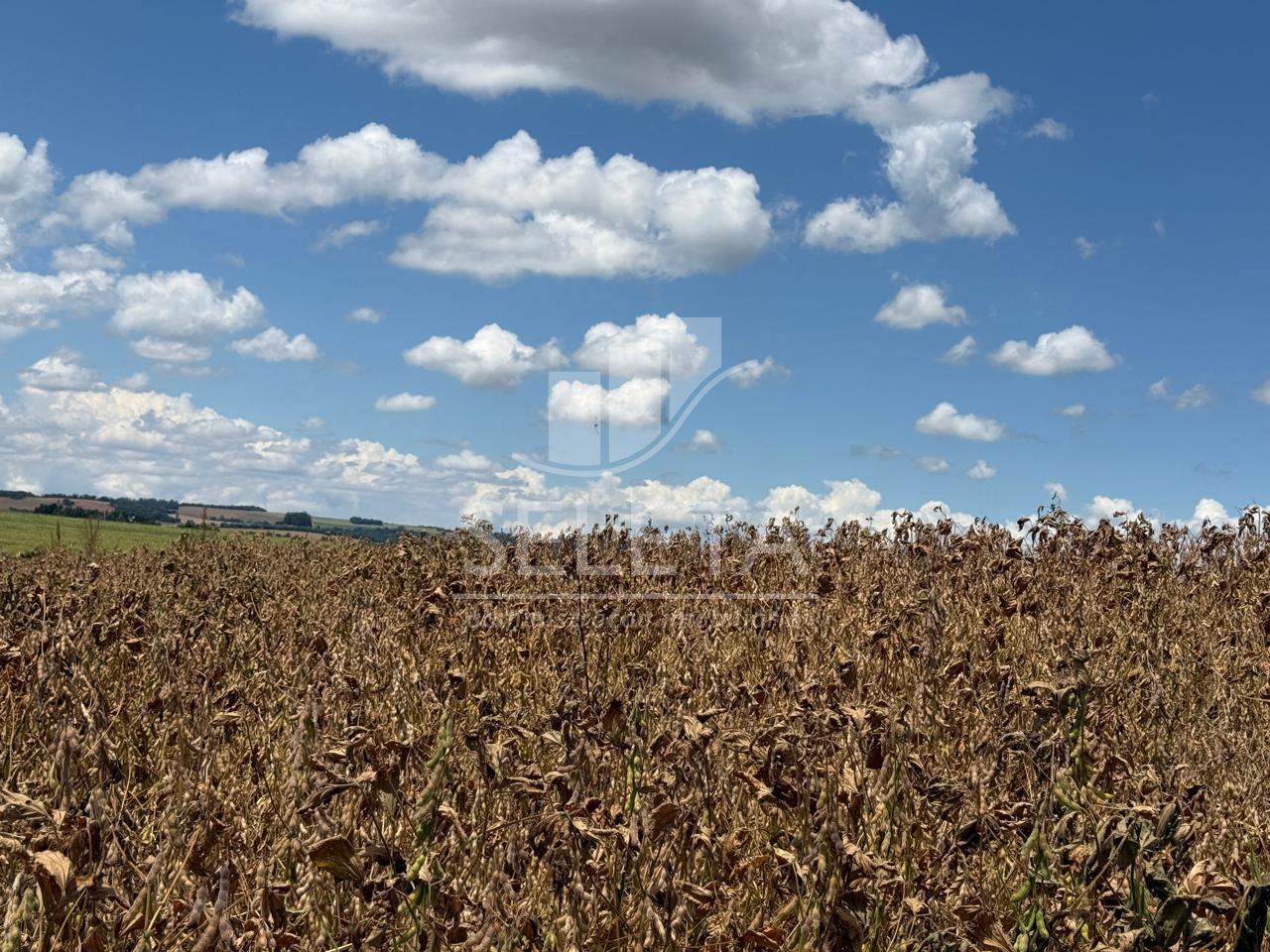 Área Rural à venda com 22 Alqueires na est. Rio da Paz, CASCAV...