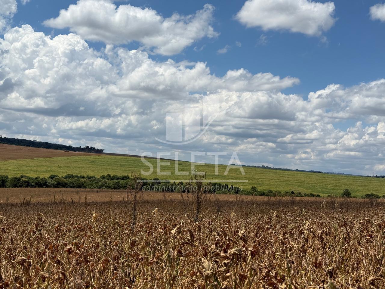 Área Rural à venda com 22 Alqueires na est. Rio da Paz, CASCAV...