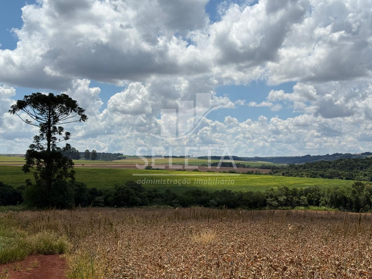 Área Rural à venda com 22 Alqueires na est. Rio da Paz, CASCAV...