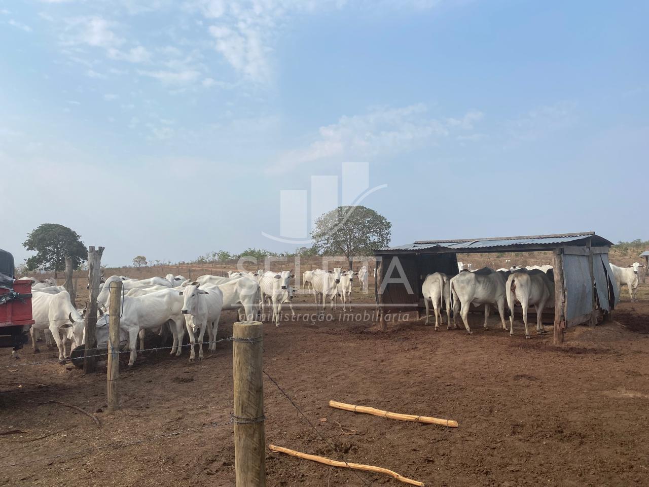 Fazenda à venda, Zona Rural, GENERAL CARNEIRO - MT