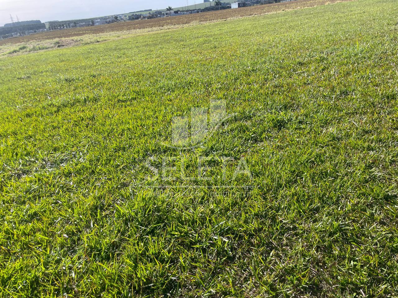 Terreno à venda,no Recanto Tropical. - proximo do Poli esporti...