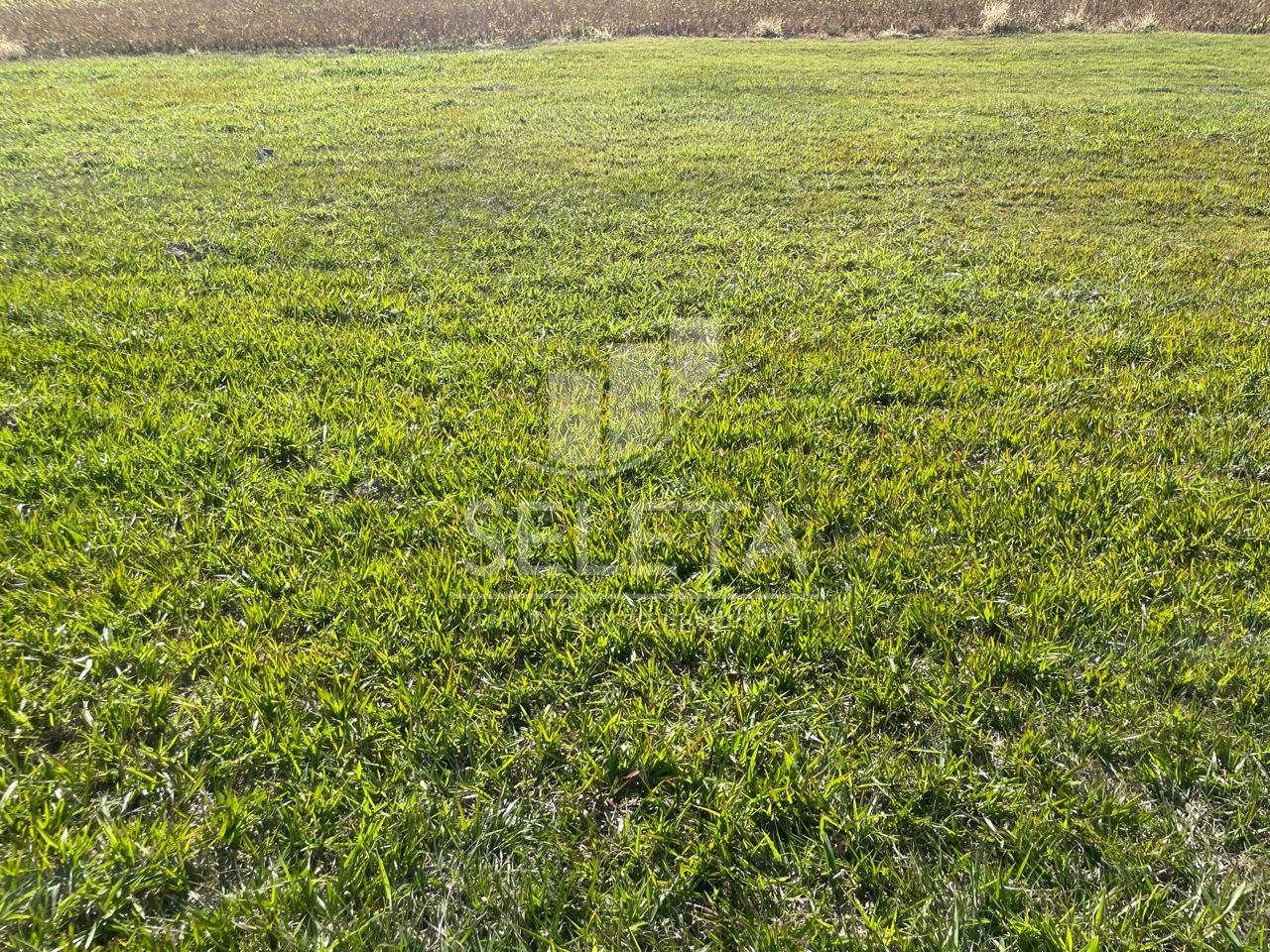 Terreno à venda, bem localizado; pertinho do Clube do Beletti;...