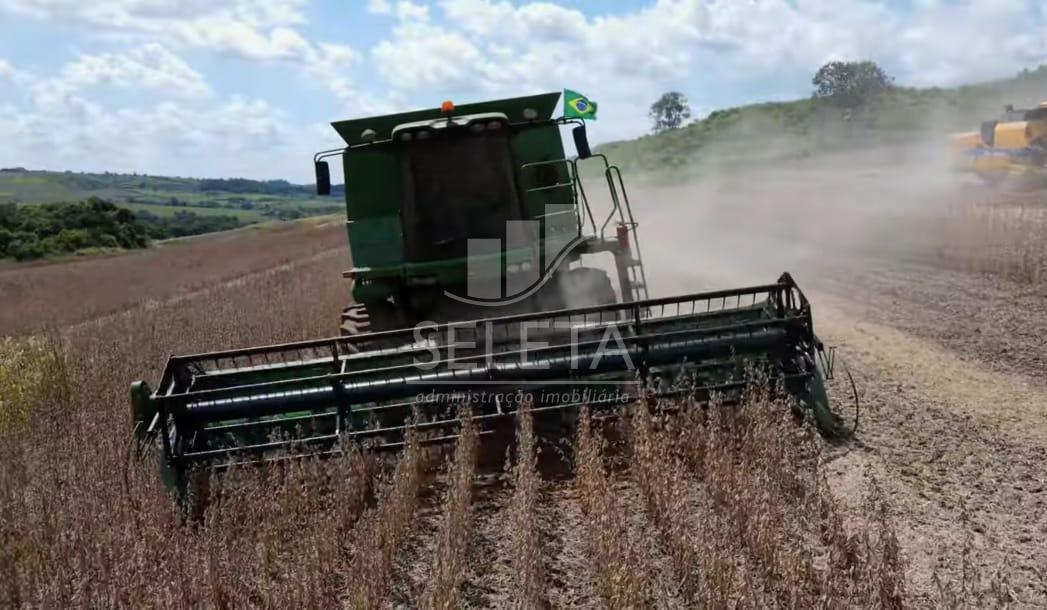 EXCELENTE OPORTUNIDADE DE INVESTIMENTO Fazenda Produtiva com L...