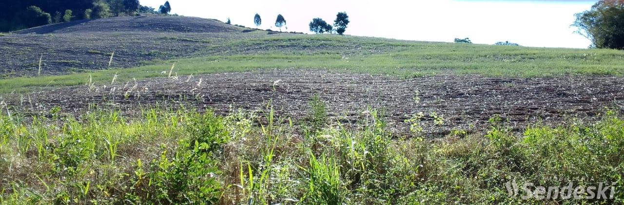 Chácara à venda, ÁREA RURAL, FRANCISCO BELTRAO - PR