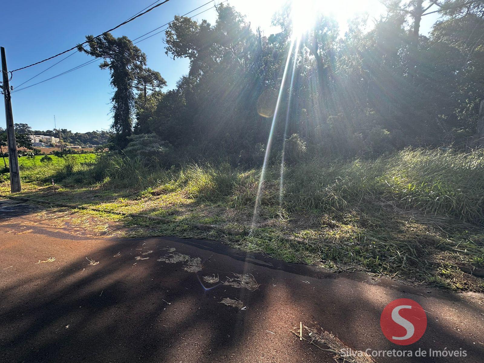 Lotes a venda, localizados no Loteamento Verdi e Cardoso, Dois Vizinhos-PR.