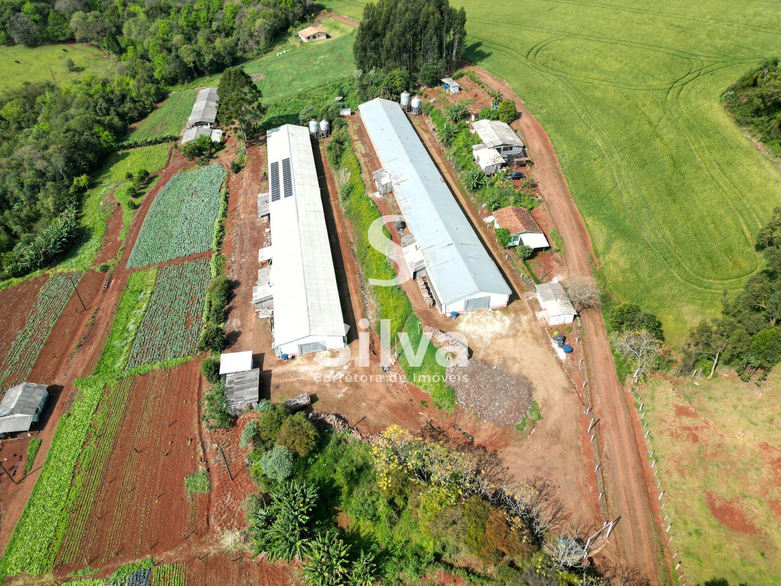 Stio a venda, localizado na linha Retiro do Pinhal, Coronel Vivida-PR.