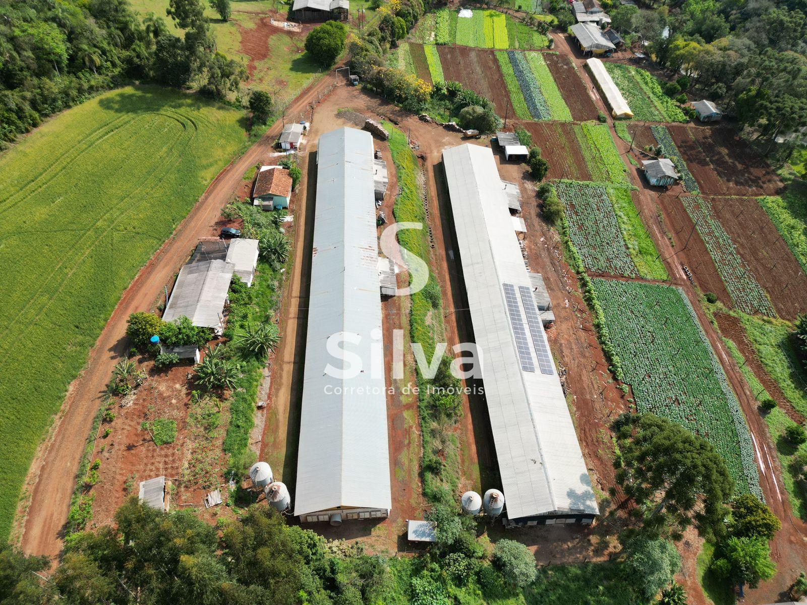 Stio a venda, localizado na linha Retiro do Pinhal, Coronel Vivida-PR.