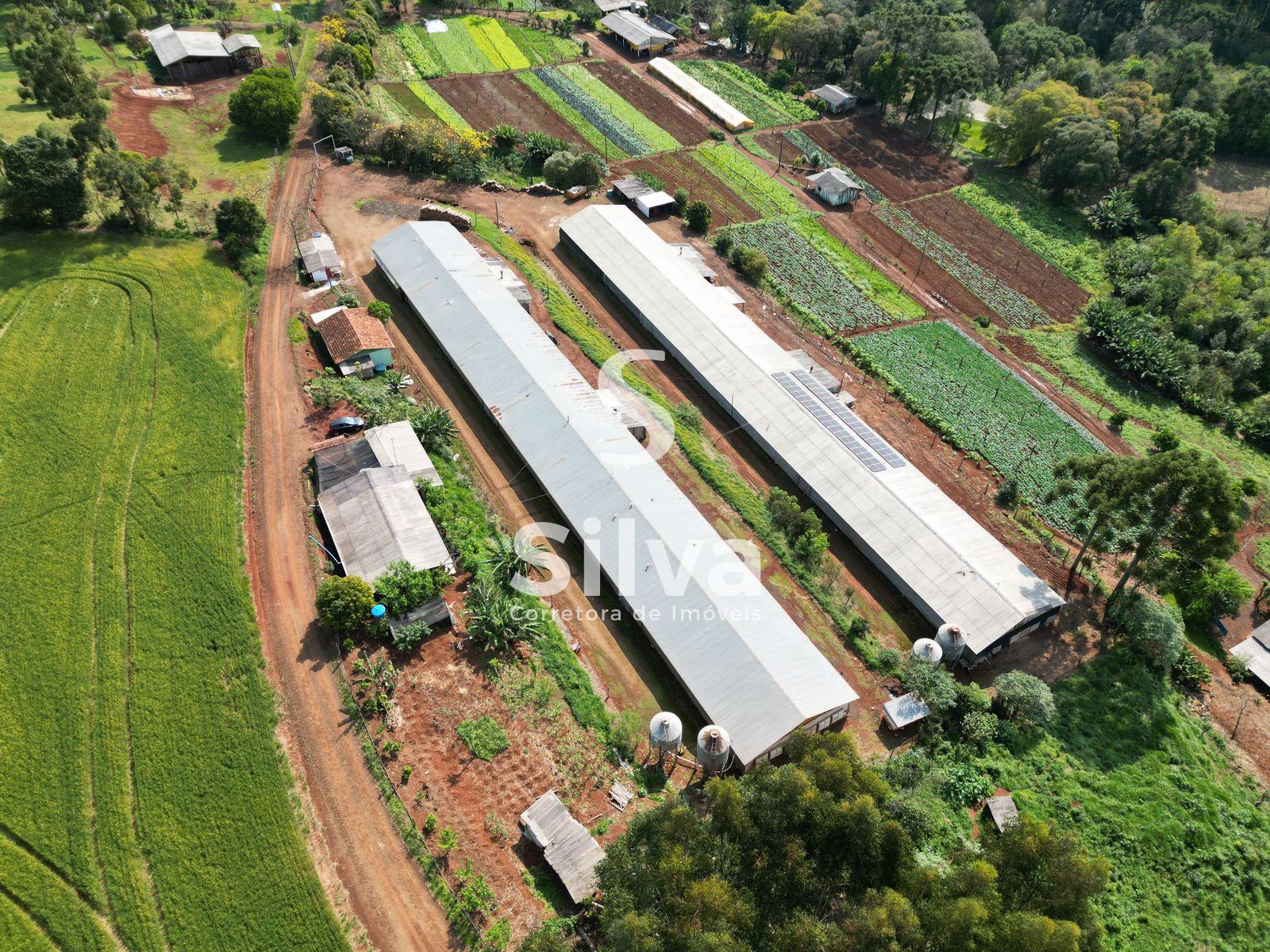 Stio a venda, localizado na linha Retiro do Pinhal, Coronel Vivida-PR.