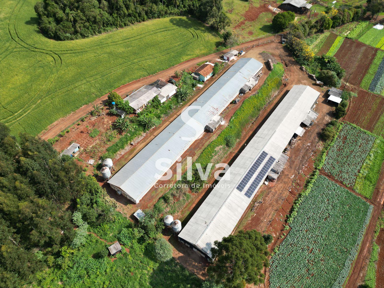 Stio a venda, localizado na linha Retiro do Pinhal, Coronel Vivida-PR.
