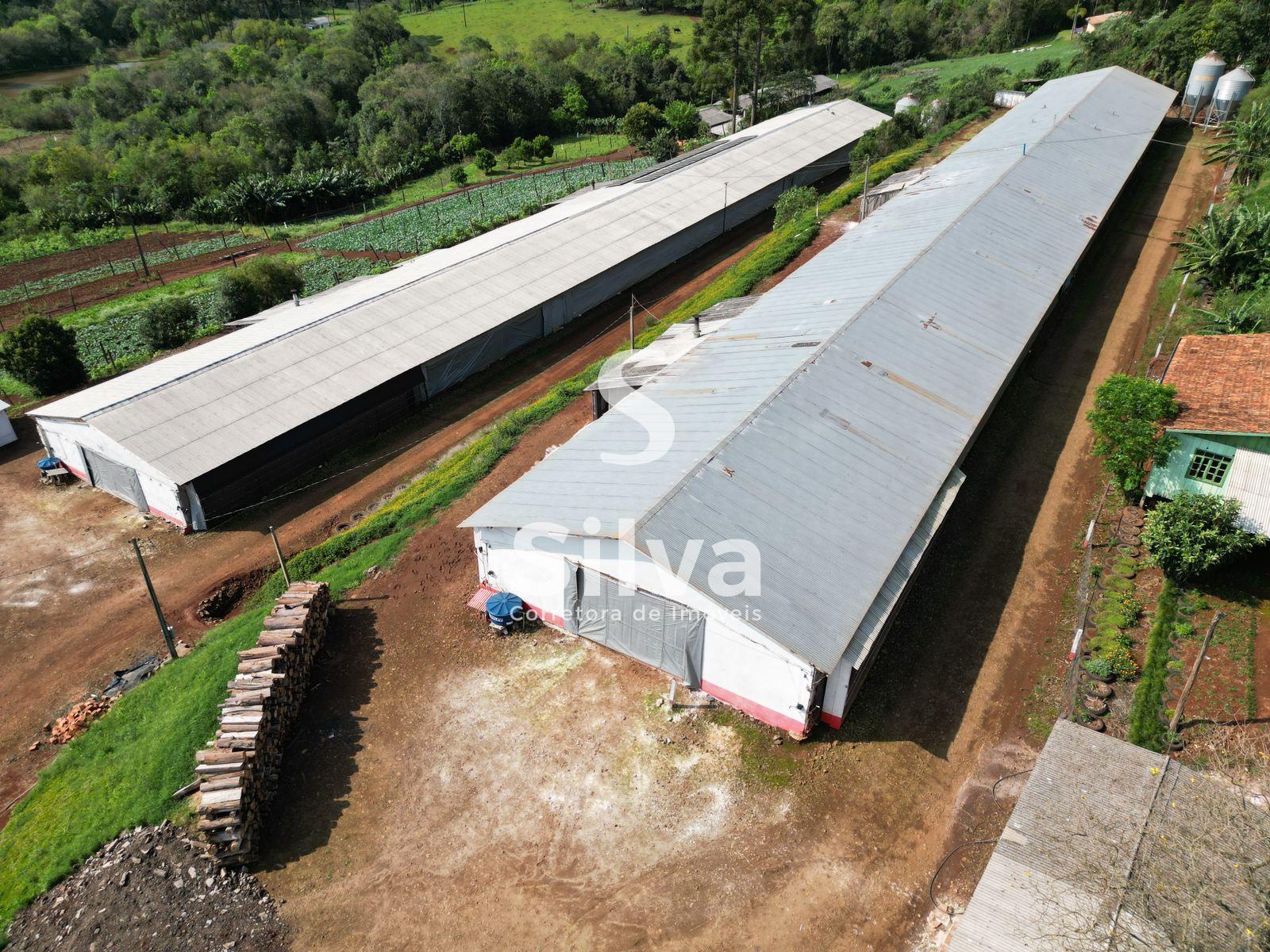 Stio a venda, localizado na linha Retiro do Pinhal, Coronel Vivida-PR.
