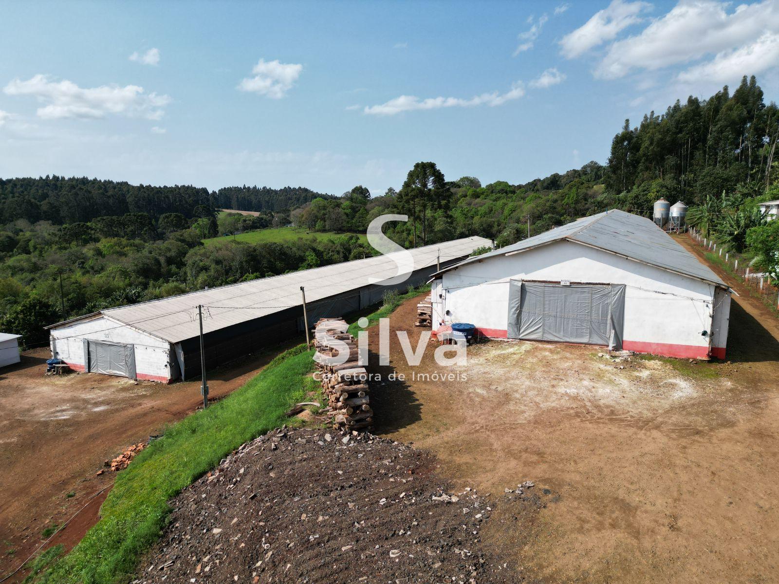 Stio a venda, localizado na linha Retiro do Pinhal, Coronel Vivida-PR.