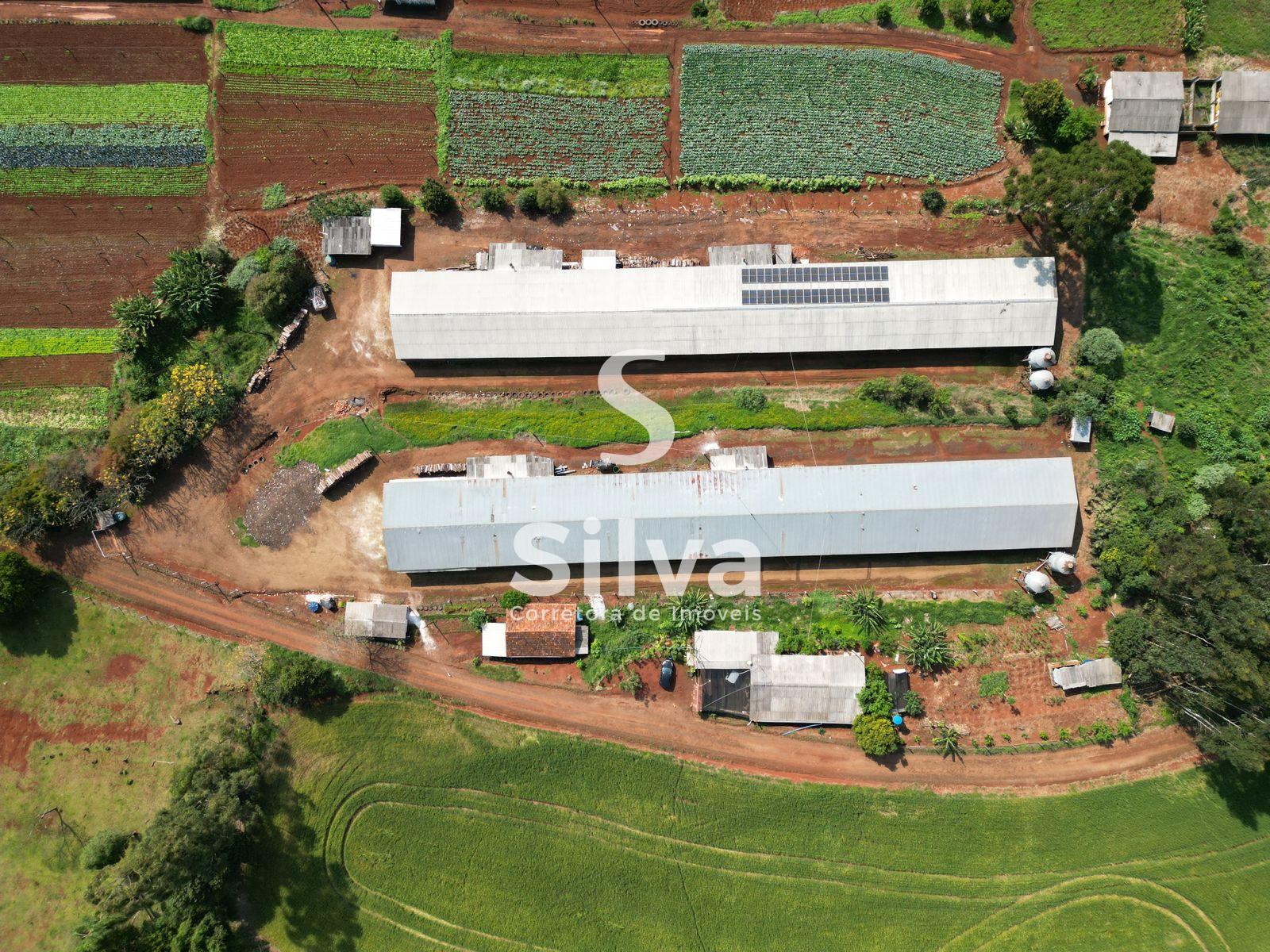 Stio a venda, localizado na linha Retiro do Pinhal, Coronel Vivida-PR.