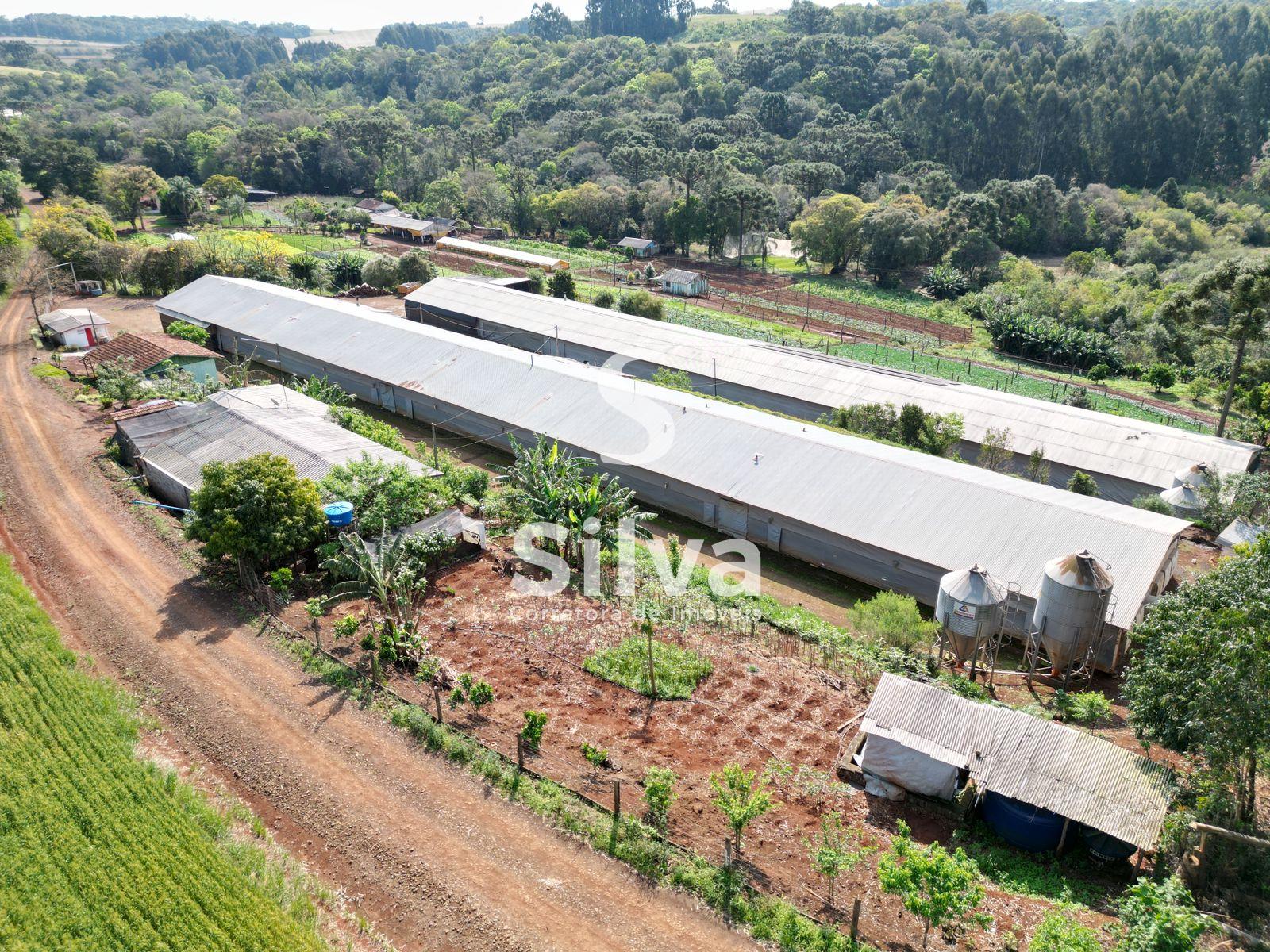 Stio a venda, localizado na linha Retiro do Pinhal, Coronel Vivida-PR.