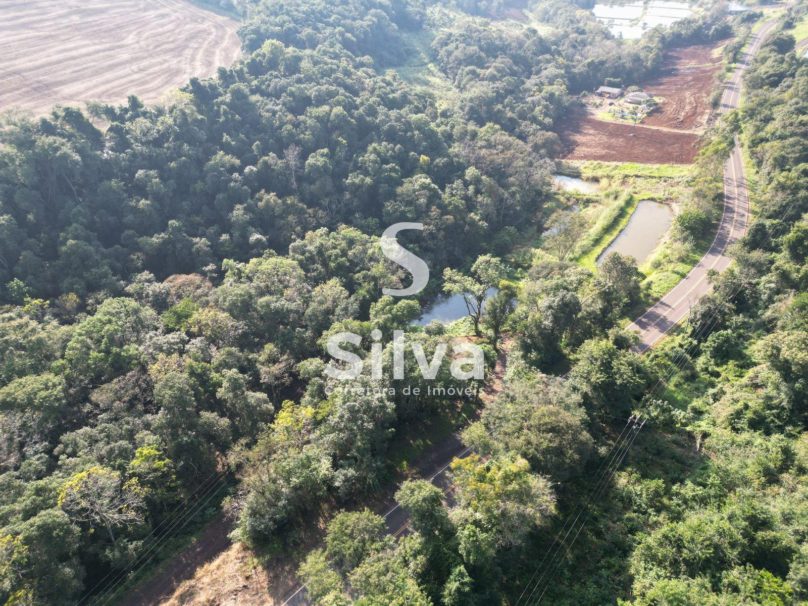 Chcara a venda localizada na Linha So Roque, Dois Vizinhos-PR.