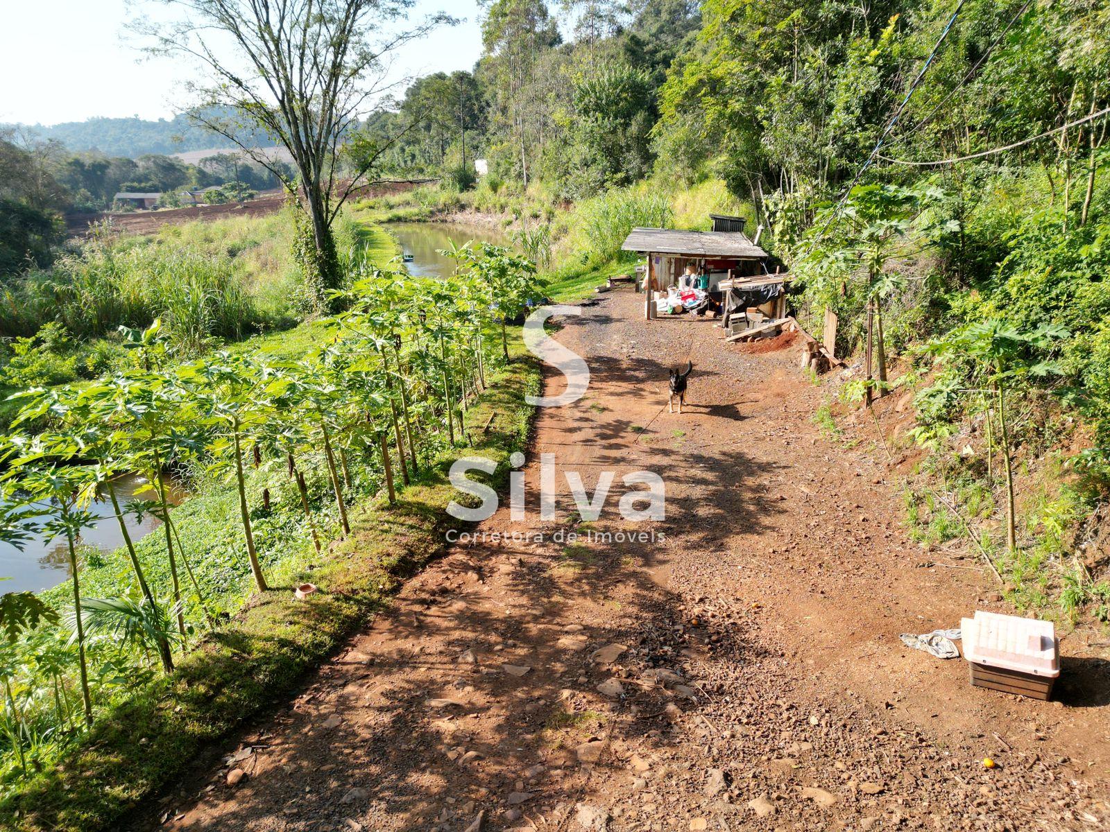 Chcara a venda localizada na Linha So Roque, Dois Vizinhos-PR.