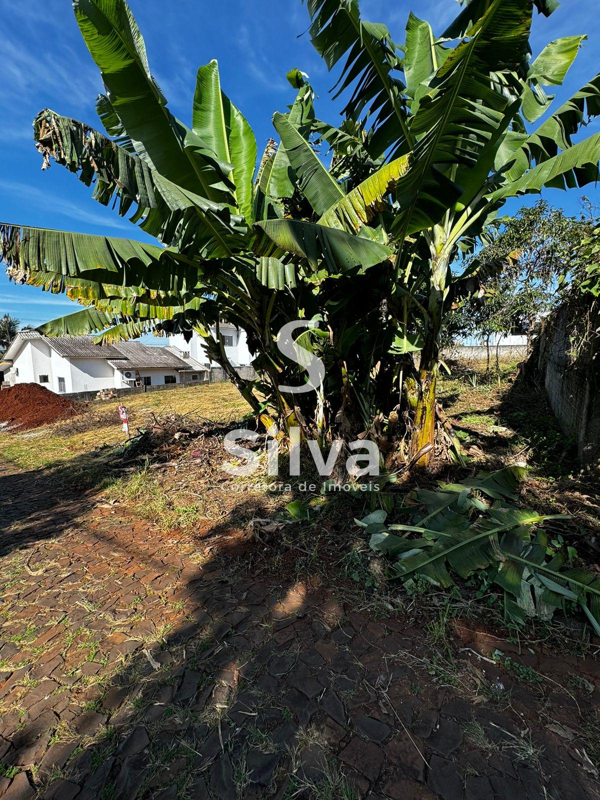 Lotes a venda localizados no Loteamento Alto da Luz, Dois Vizinhos-PR.