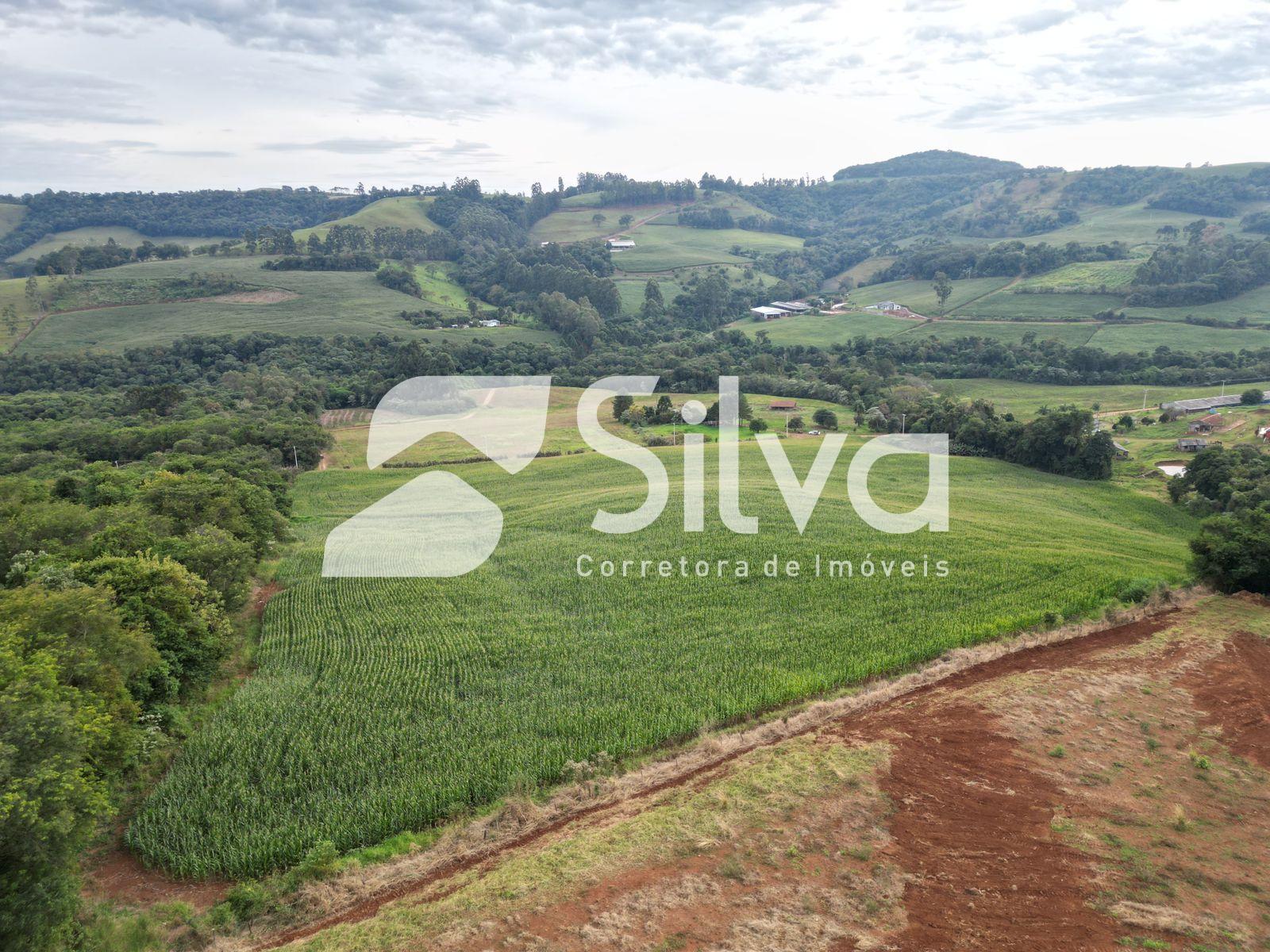 Area rural a venda localizada em Francisco Beltro - PR.