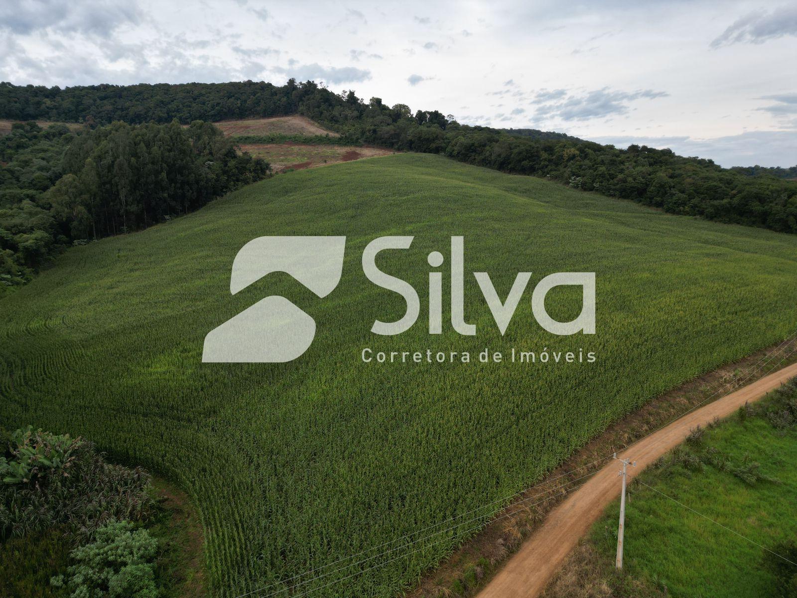 Area rural a venda localizada em Francisco Beltro - PR.