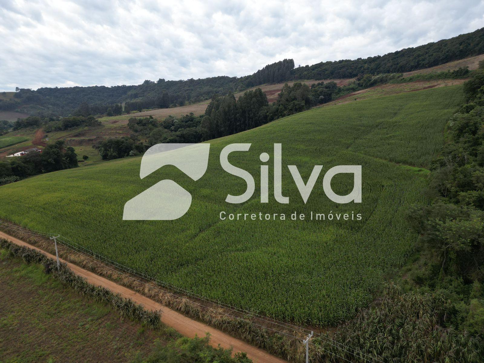 Area rural a venda localizada em Francisco Beltro - PR.