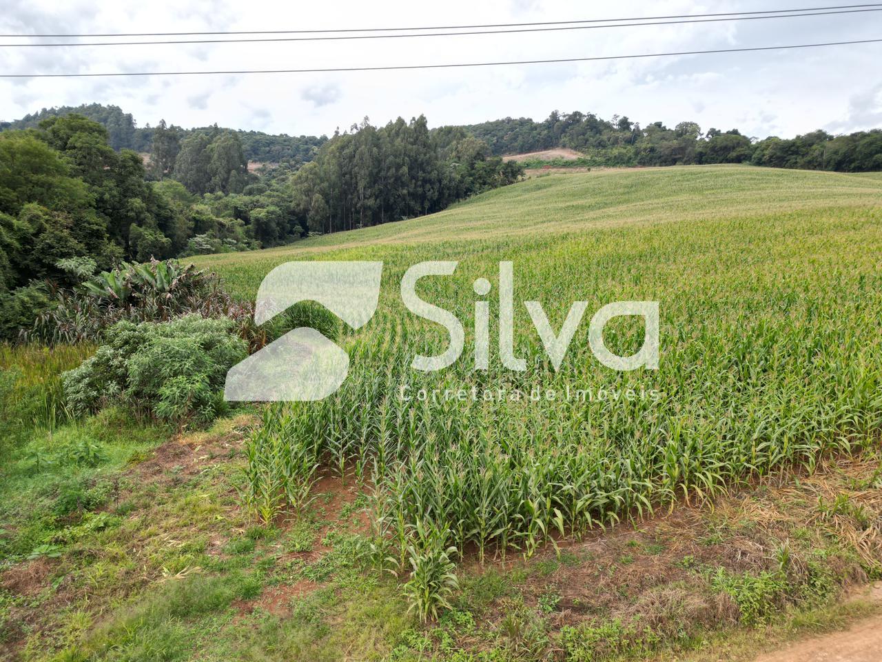 Area rural a venda localizada em Francisco Beltro - PR.