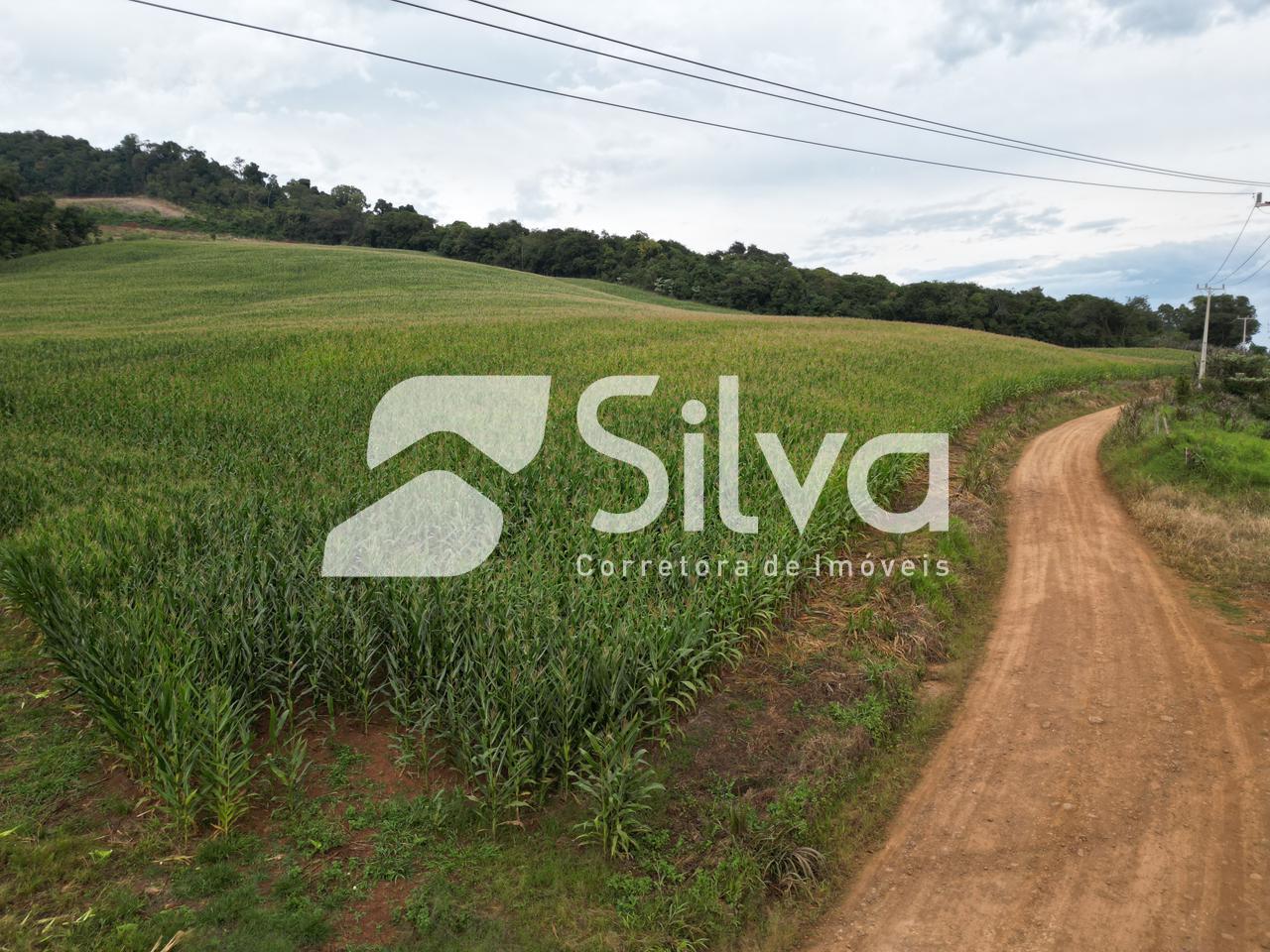 Area rural a venda localizada em Francisco Beltro - PR.