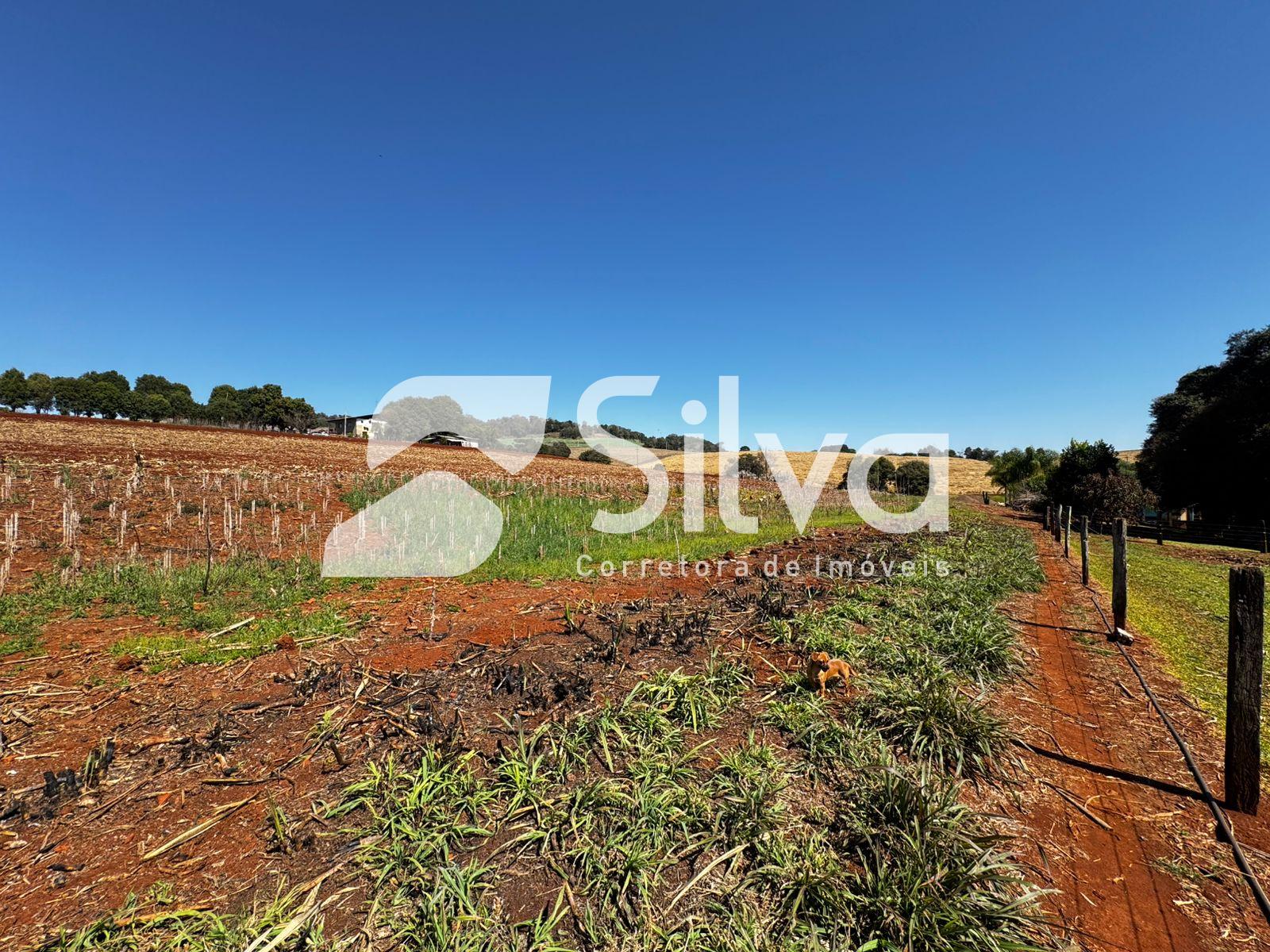 Chcara a venda localizada no interior de Itapejara D Oeste.