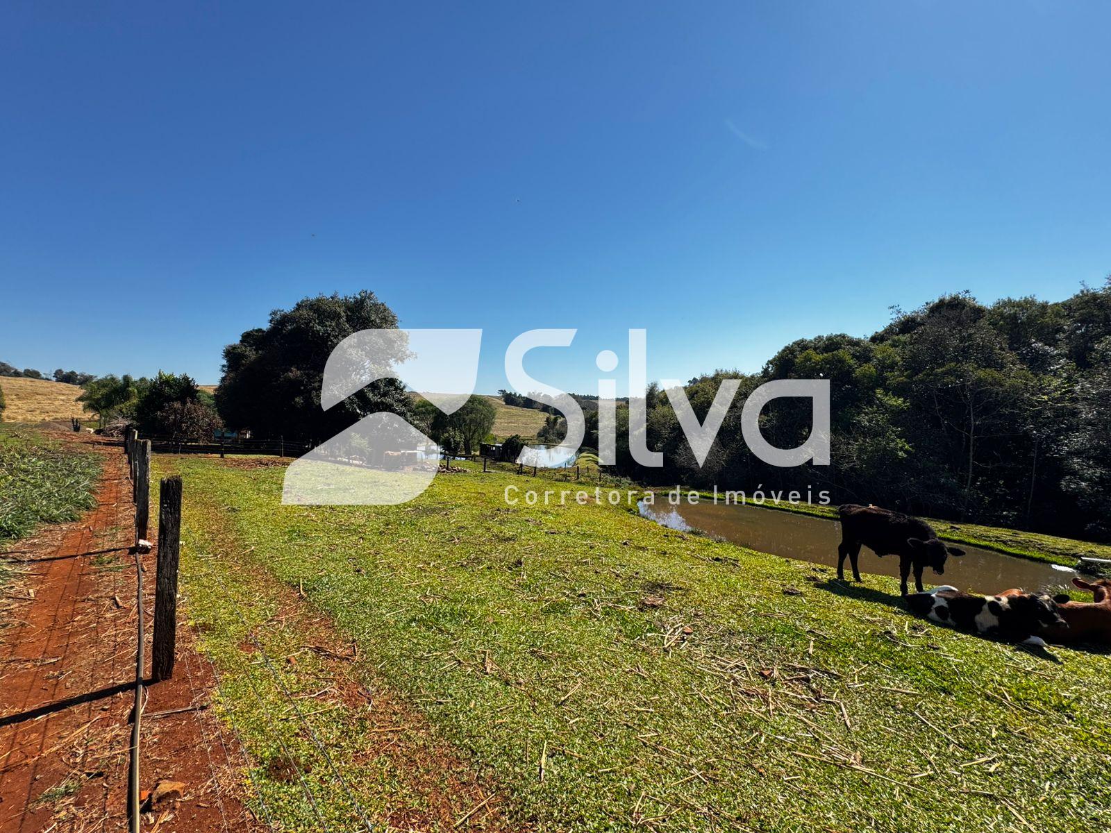 Chcara a venda localizada no interior de Itapejara D Oeste.