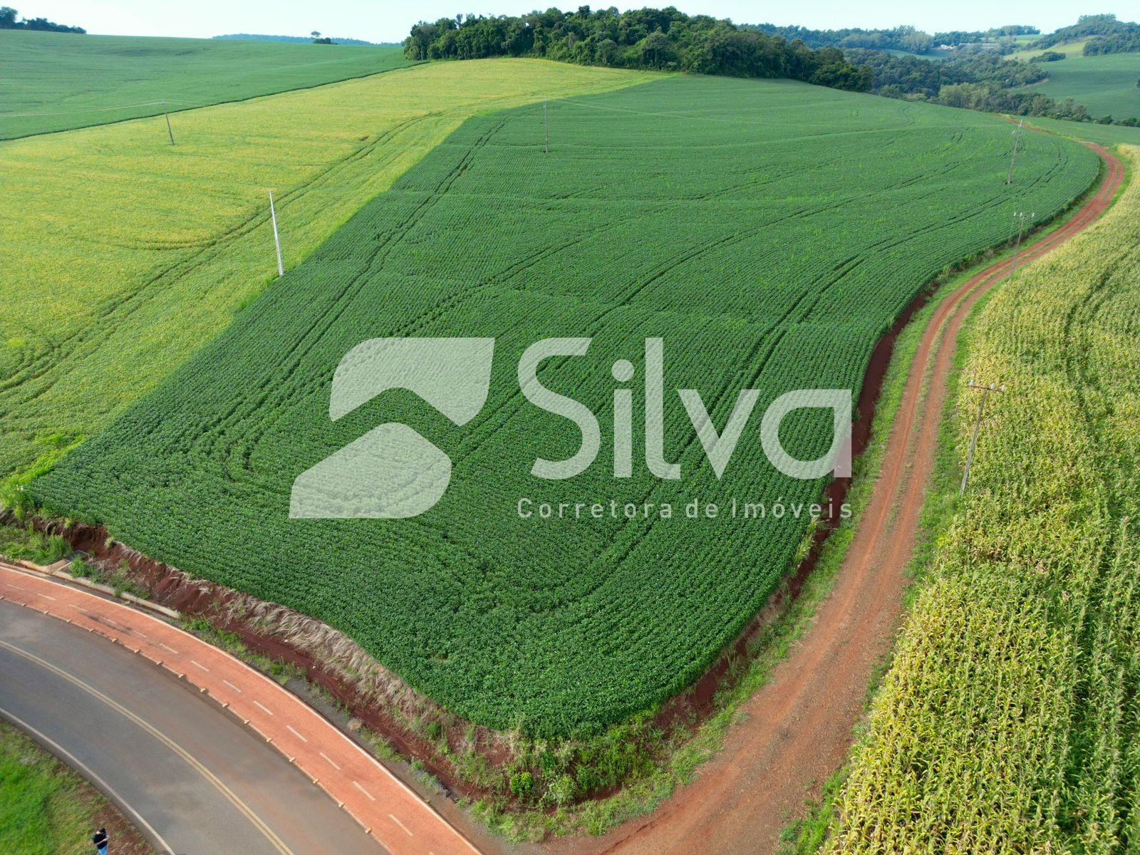 �rea para investimento localizada prox. a UTFPR, Dois Vizinhos-PR.