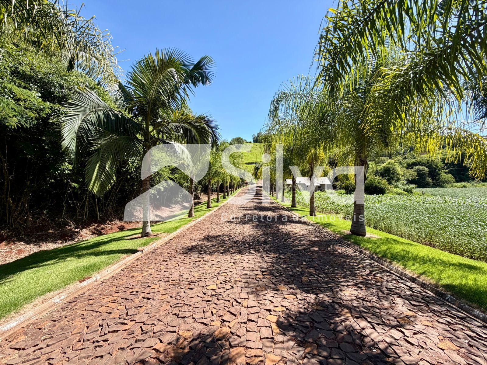 Lotes a venda, localizados no Loteamento Moradas do Igua�u, Boa E. do Igua�u-PR.