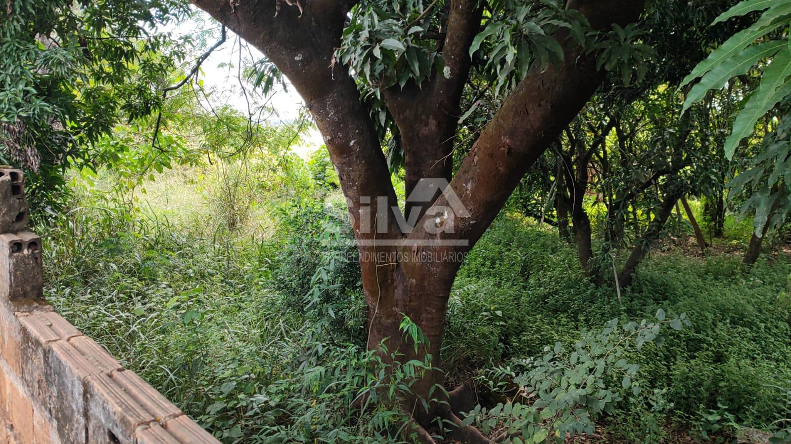 Terreno à venda, SANTO ANTONIO, JUATUBA - MG