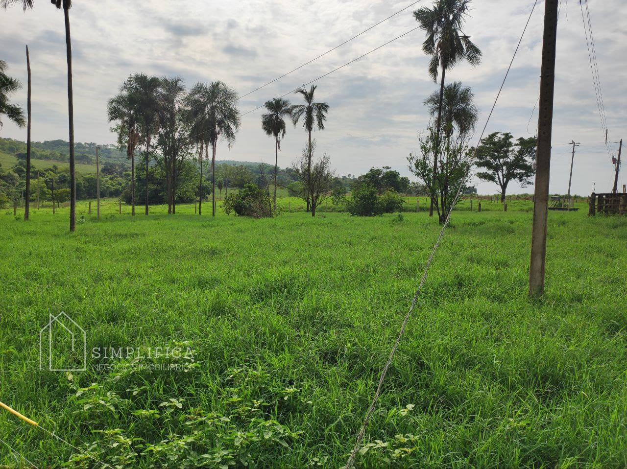 S?TIO EM PONTALINA GO