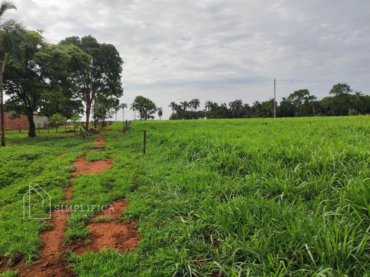 S?TIO EM PONTALINA GO