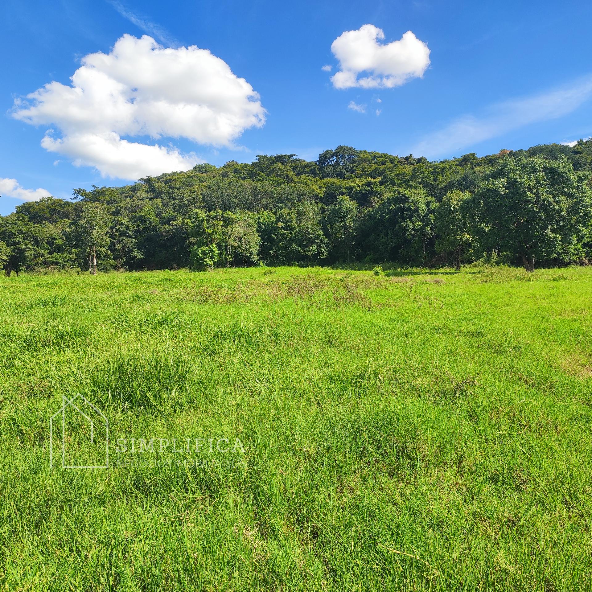 S?tio para loca??o, Zona Rural, PONTALINA - GO