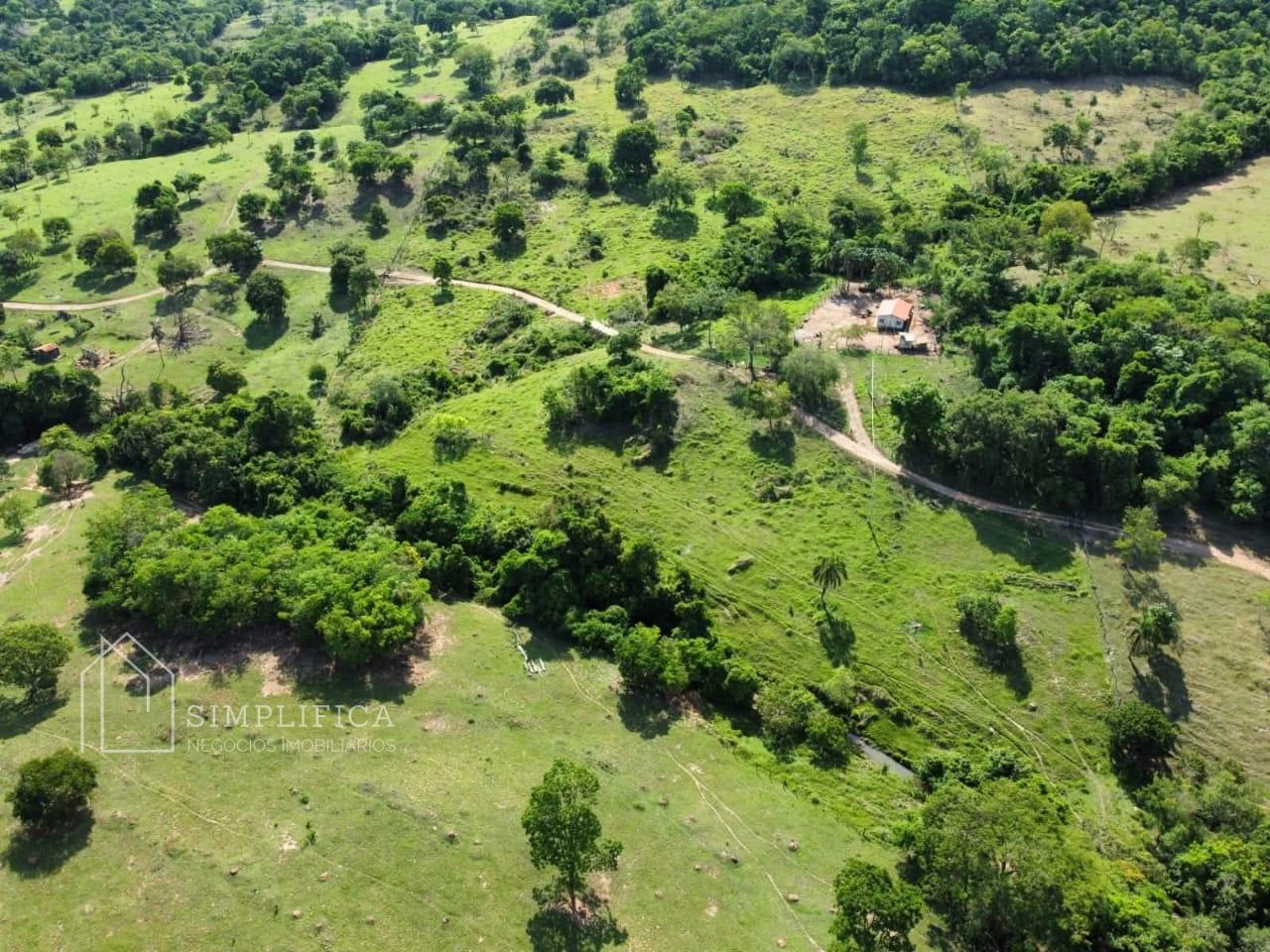 S?tio para loca??o, 7 alqueires, Zona Rural, PONTALINA - GO