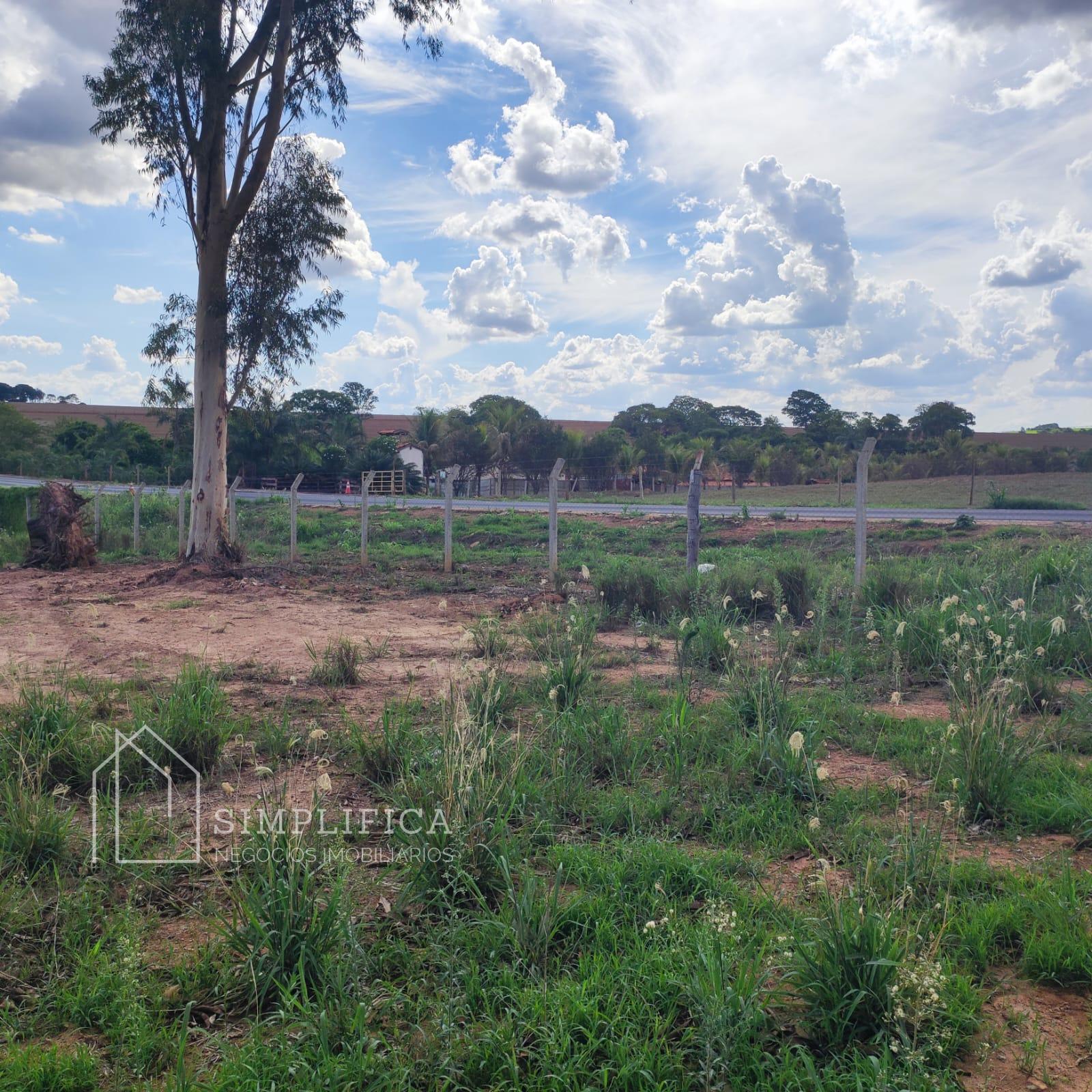 Terreno à venda, GO 215, Zona Rural, saída para Edealina, PONT...