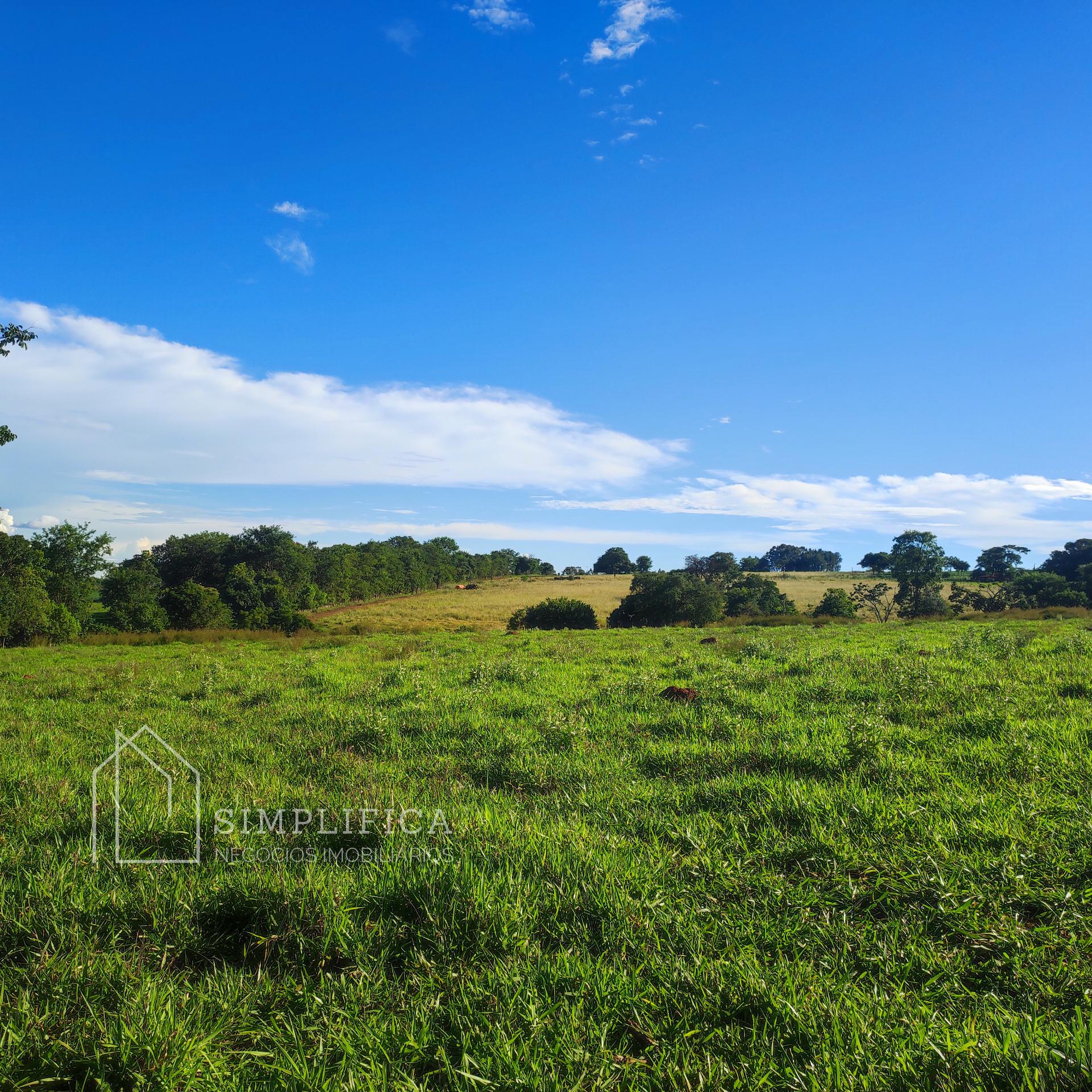 S?tio para loca??o, Zona Rural, PONTALINA - GO, CEP 75620-000