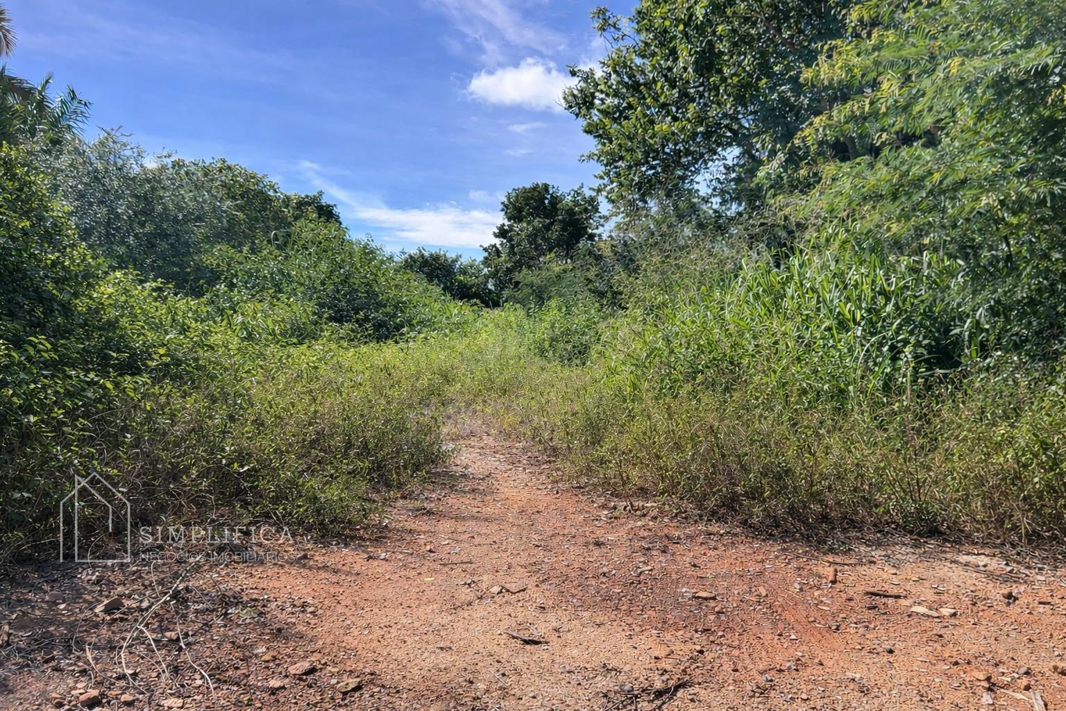 Lote ? venda, Vila Alegretinho, PONTALINA - GO