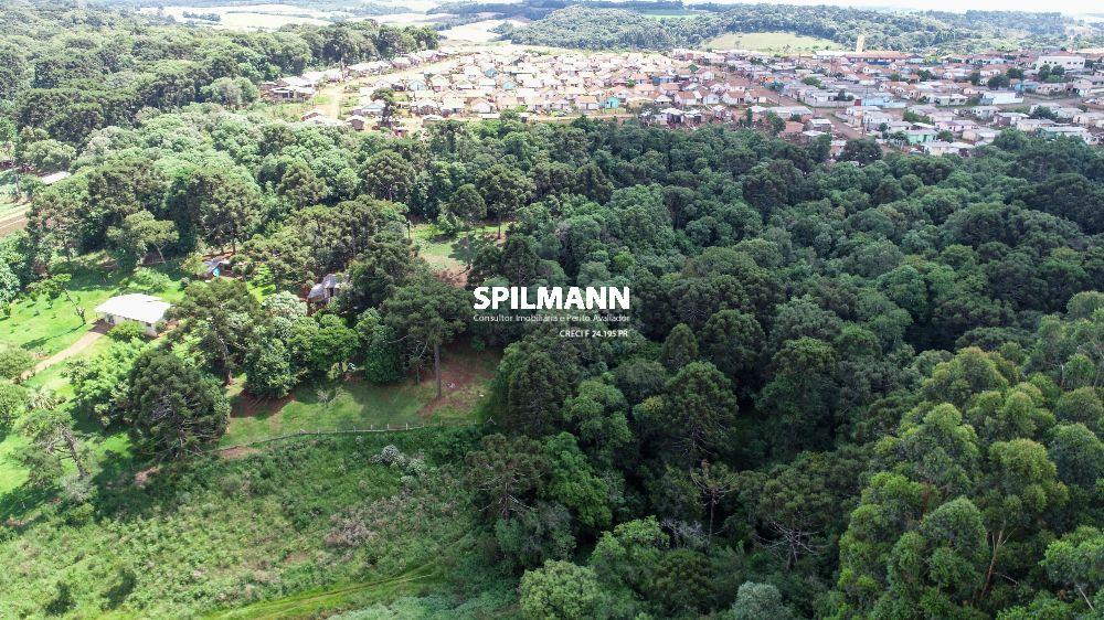ÁREA DE TERRENO 10.000 m   Estilo Chácara  BAIRRO SÃO FRANCISCO - PALMAS PR