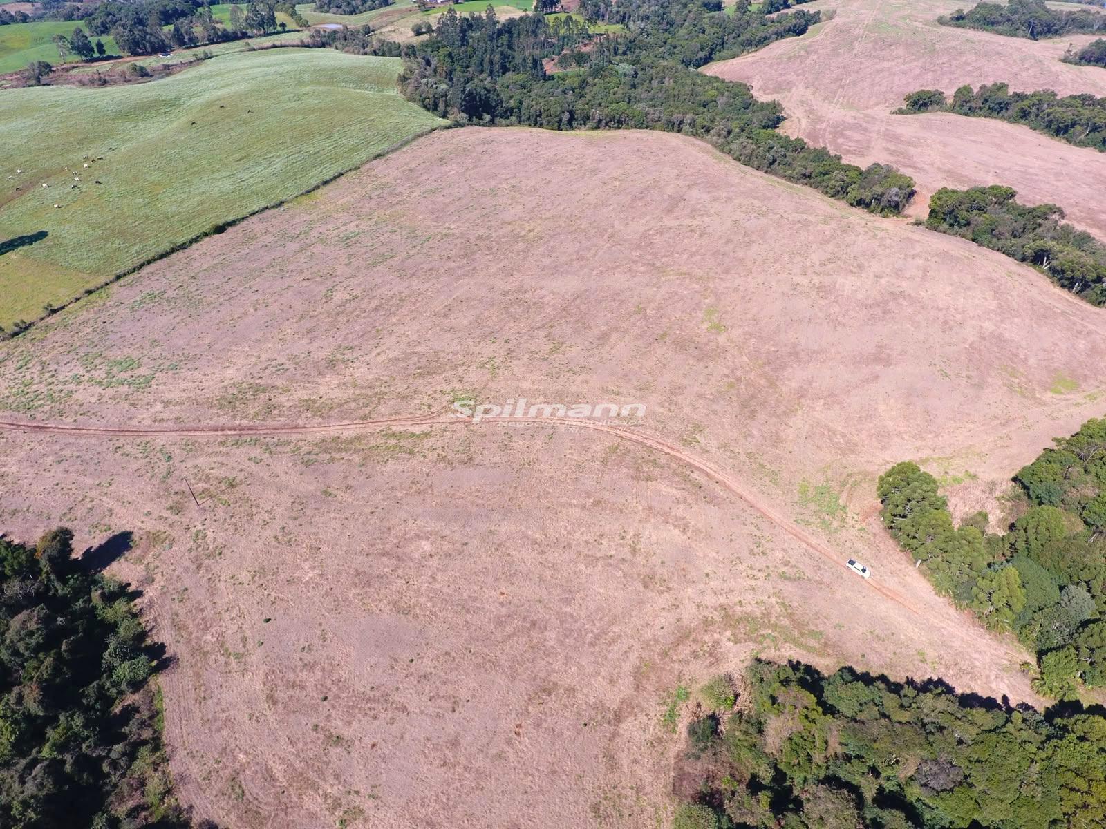 ÁREA RURAL Á VENDA PRÓXIMO DA CIDADE, ASS. CRUZEIRO DO SUL, PALMAS - PR